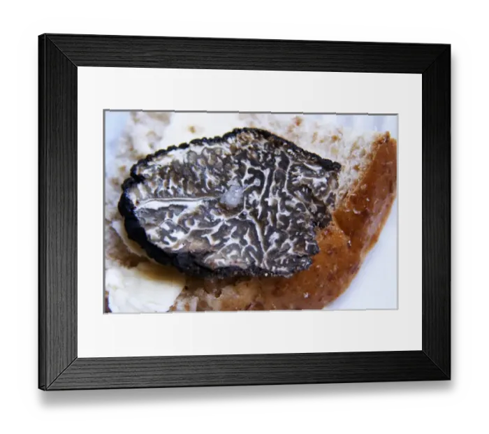 Framed Print : A slice of fresh Perigor truffles on a pice of bread with a drop of oil Truffiere de la Bergerie