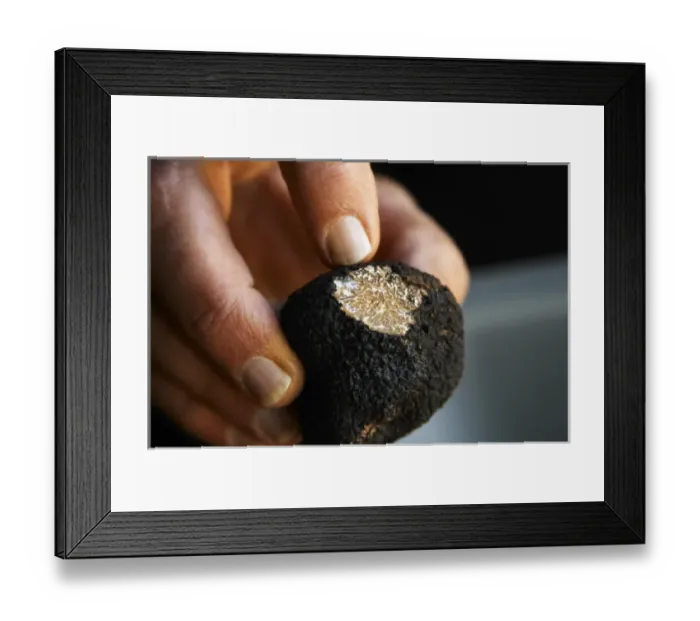 Framed Print : Hugues Martin, the owner of the truffles farm holding a fresh Perigord truffle in
