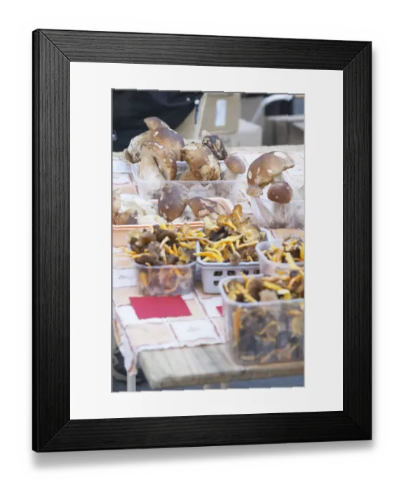 Framed Print : Mushrooms (porcini or cepes and chanterelles) for sale at a market stall at the market Framed Print : Mushrooms (porcini or cepes and chanterelles) for sale at a market stall at the market