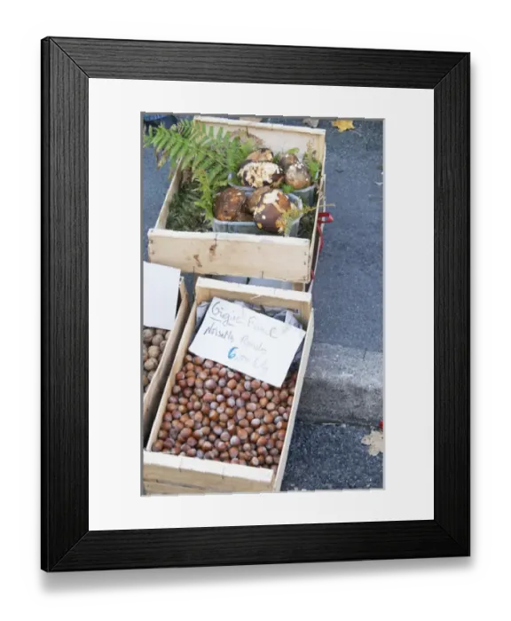 Framed Print : Hazelnut nuts for sale at a market stall at the market in Bergerac for 6 euro per kilo Framed Print : Hazelnut nuts for sale at a market stall at the market in Bergerac for 6 euro per kilo