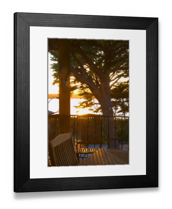 Framed Print : A view at sunset through the trees over the bay towards the island St Pierre des Embiez Framed Print : A view at sunset through the trees over the bay towards the island St Pierre des Embiez
