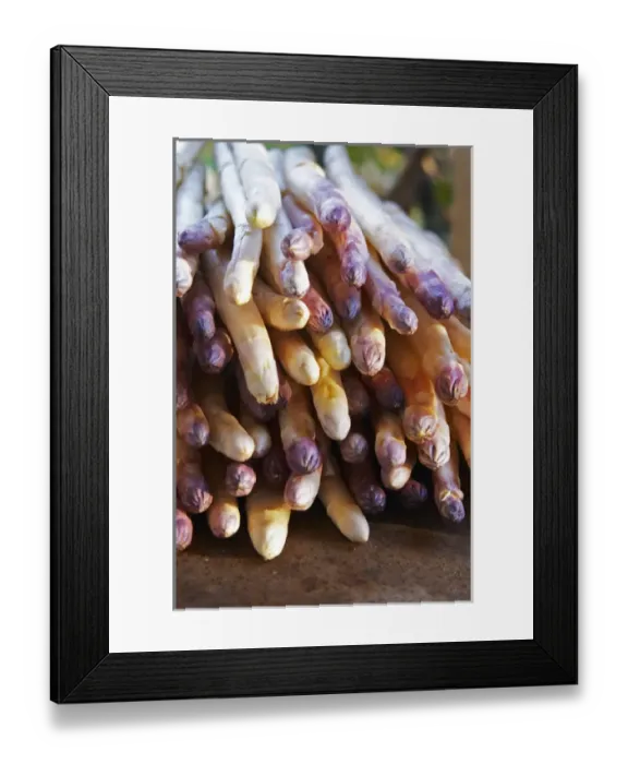 Framed Print : A big pile of white asparagus with violet tipped tip on a dark brown rusty iron table Framed Print : A big pile of white asparagus with violet tipped tip on a dark brown rusty iron table