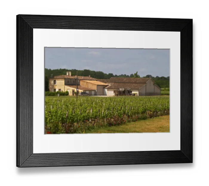 Framed Print : Unknown property Across the road from Ch Bouscaut. Graves Pessac Leognan Bordeaux