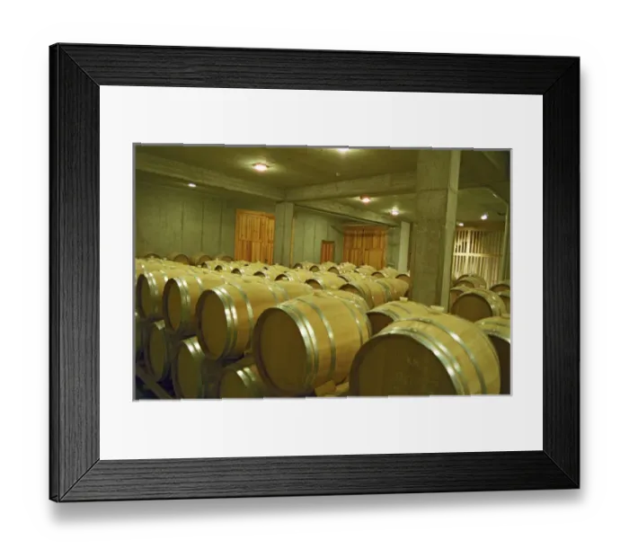Framed Print : The Oremus winery in Tolcsva, Tokaj: The wood aging cellar with new oak barrels for Framed Print : The Oremus winery in Tolcsva, Tokaj: The wood aging cellar with new oak barrels for