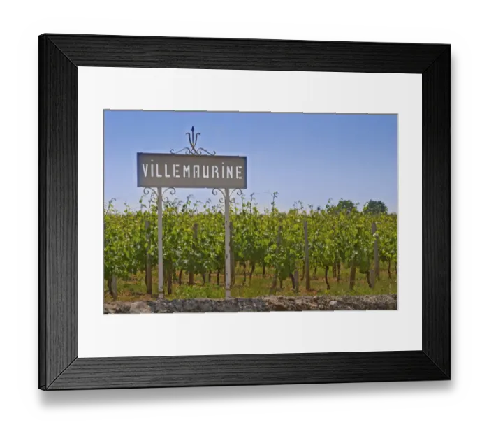 Framed Print : A white sign in the vineyard saying Chateau Villemaurine Saint Emilion Bordeaux Framed Print : A white sign in the vineyard saying Chateau Villemaurine Saint Emilion Bordeaux