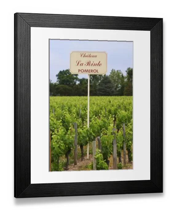 Framed Print : A sign in the vineyards saying Chateau La Pointe Pomerol Bordeaux Gironde Aquitaine