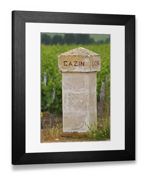 Framed Print : A stone gate post inscribed with Chateau Gazin, vineyard in the background Pomerol