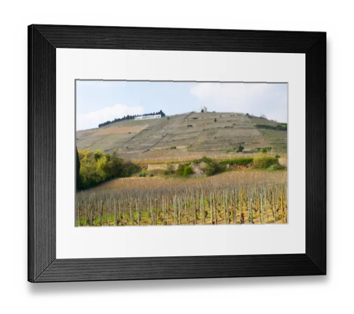 Framed Print : The Hermitage vineyards on the hill behind the city Tain-laiHermitage, The Maison Blanche Framed Print : The Hermitage vineyards on the hill behind the city Tain-laiHermitage, The Maison Blanche