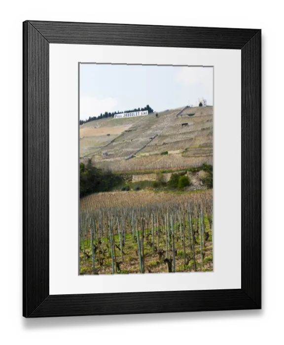 Framed Print : The Hermitage vineyards on the hill behind the city Tain-laiHermitage, The Maison Blanche Framed Print : The Hermitage vineyards on the hill behind the city Tain-laiHermitage, The Maison Blanche
