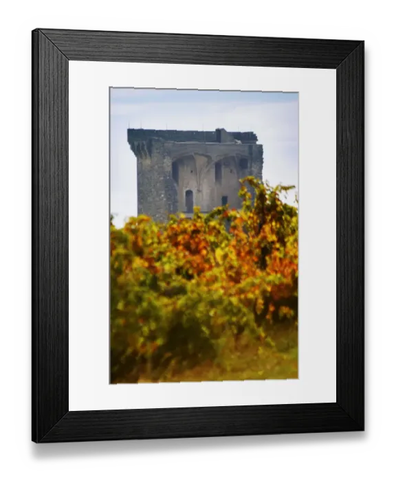 Framed Print : A view of the ruined chateau, the Popes summer palace over the vineyards. Chateauneuf-du-Pape Framed Print : A view of the ruined chateau, the Popes summer palace over the vineyards. Chateauneuf-du-Pape