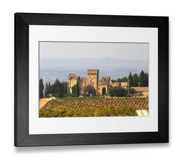 Framed Print : The vineyard with syrah vines and the chateau des fines roches Chateauneuf du Pape Vaucluse