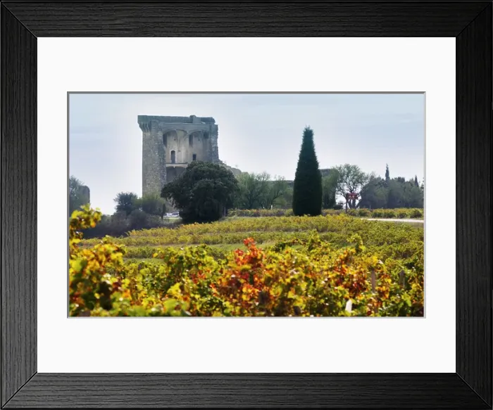 Framed Print : A view of the ruined chateau, the Popes summer palace over the vineyards. Chateauneuf-du-Pape