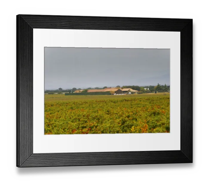 Framed Print : The Domaine de Beaucastel and vineyards. Chateau de Beaucastel, Domaines Perrin