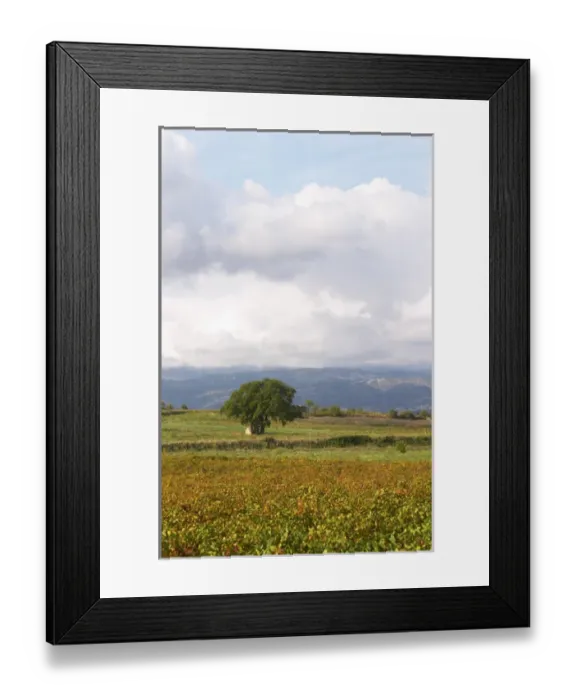 Framed Print : Chateau St Jean d Aumieres, Gignac village. Terrasses de Larzac. Languedoc. France Framed Print : Chateau St Jean d Aumieres, Gignac village. Terrasses de Larzac. Languedoc. France