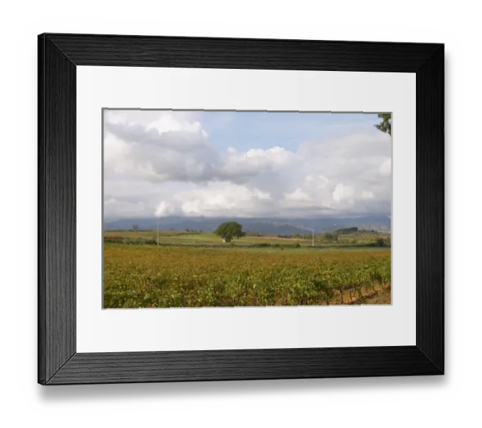 Framed Print : Chateau St Jean d Aumieres, Gignac village. Terrasses de Larzac. Languedoc. France Framed Print : Chateau St Jean d Aumieres, Gignac village. Terrasses de Larzac. Languedoc. France