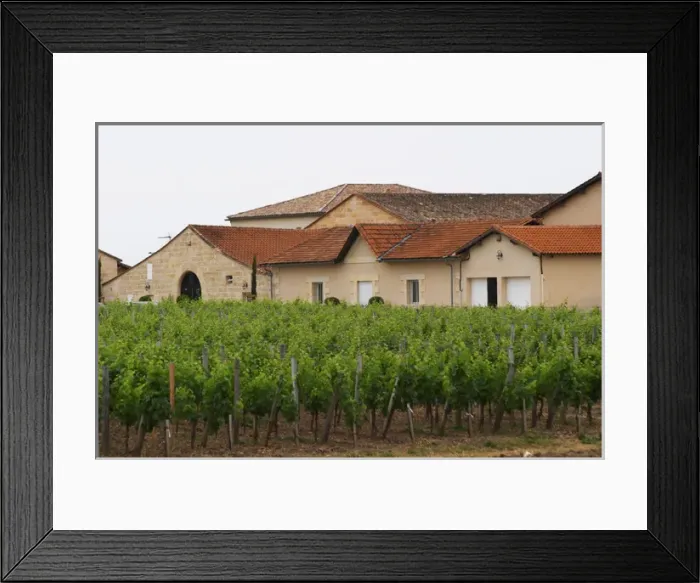 Framed Print : Chateau la Conseillante, in the foreground the vineyard Pomerol Bordeaux Gironde