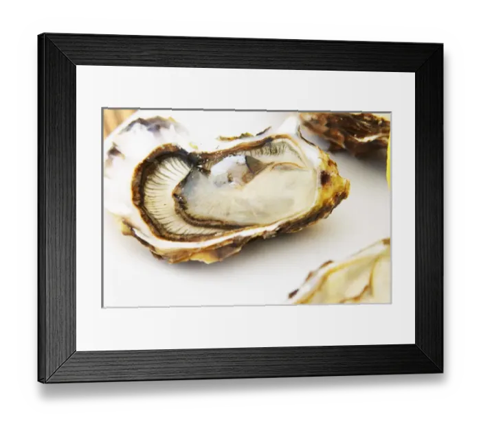 Framed Print : Bouzigues Languedoc. Oyster on half shell with lemon. France. Europe