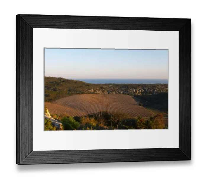 Framed Print : Domaine Gerard Bertrand, Chateau l Hospitalet. La Clape. Languedoc. The vineyard