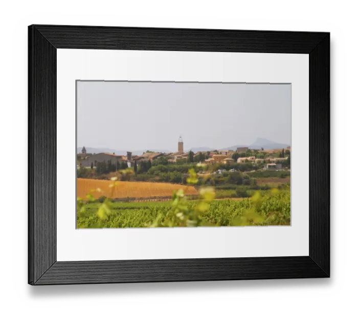 Framed Print : Domaine d Aupilhac. Montpeyroux. Languedoc. France. Europe. Vineyard Framed Print : Domaine d Aupilhac. Montpeyroux. Languedoc. France. Europe. Vineyard