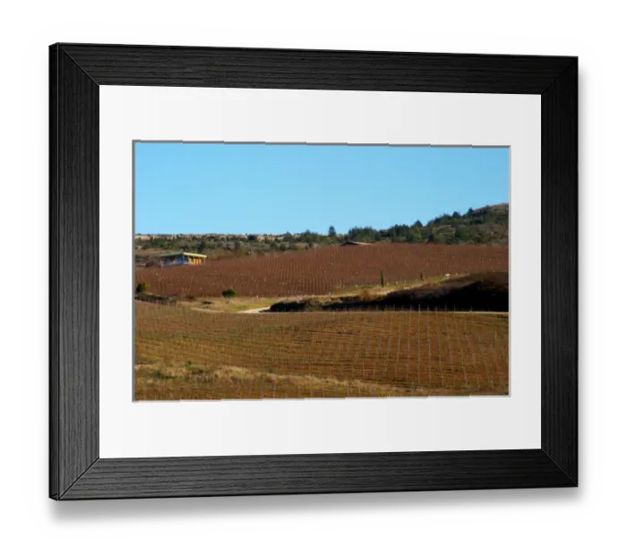 Framed Print : Domaine Jean Louis Denois. Limoux. Languedoc. France. Europe. Vineyard Framed Print : Domaine Jean Louis Denois. Limoux. Languedoc. France. Europe. Vineyard