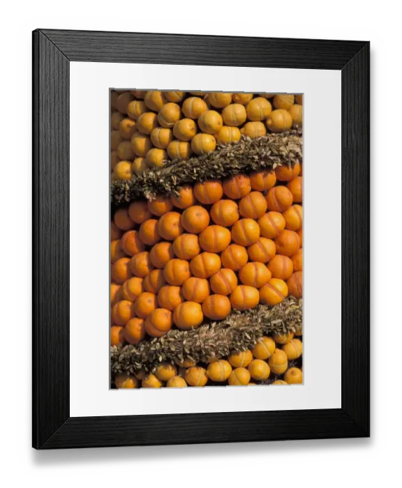 Framed Print : EU, France, Cote D Azur, Oranges and lemons at Menton Festival