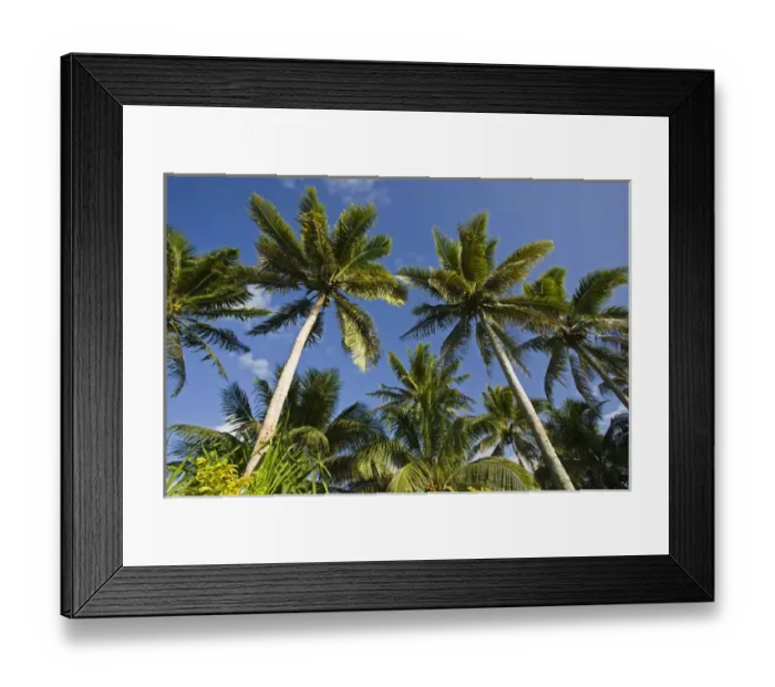 Framed Print : VANUATU, Efate Island, ERAKOR. Palms / Erakor Island Framed Print : VANUATU, Efate Island, ERAKOR. Palms / Erakor Island