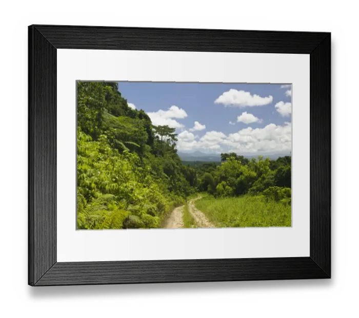 Framed Print : VANUATU, Espiritu Santo Island, BIG BAY HIGHWAY. Along the Big Bay Highway to Malao Framed Print : VANUATU, Espiritu Santo Island, BIG BAY HIGHWAY. Along the Big Bay Highway to Malao