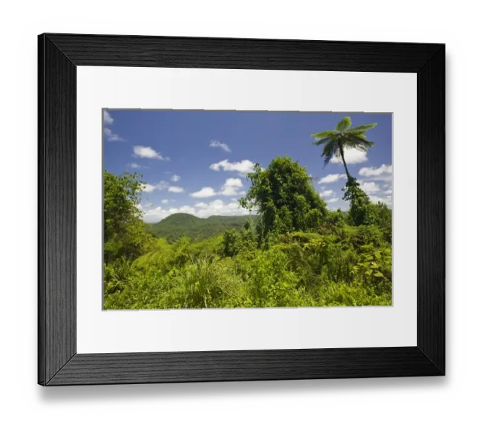 Framed Print : VANUATU, Espiritu Santo Island, BIG BAY HIGHWAY. View towards the West Santo Mountains Framed Print : VANUATU, Espiritu Santo Island, BIG BAY HIGHWAY. View towards the West Santo Mountains