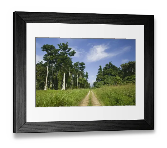 Framed Print : VANUATU, Espiritu Santo Island, SHARK BAY. East Santo Island Road