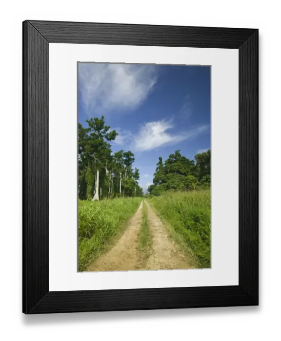 Framed Print : VANUATU, Espiritu Santo Island, SHARK BAY. East Santo Island Road Framed Print : VANUATU, Espiritu Santo Island, SHARK BAY. East Santo Island Road