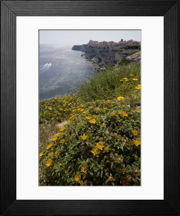 Framed Print : Corsica. France. Europe. Wildflowers at top of sea cliffs. City of Bonifacio in distance