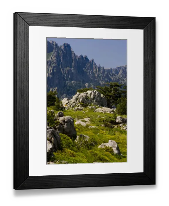 Framed Print : Corsica. France. Europe. Granite boulders, gorse in bloom, and pinnacles of Aiguilles de Bavella Framed Print : Corsica. France. Europe. Granite boulders, gorse in bloom, and pinnacles of Aiguilles de Bavella