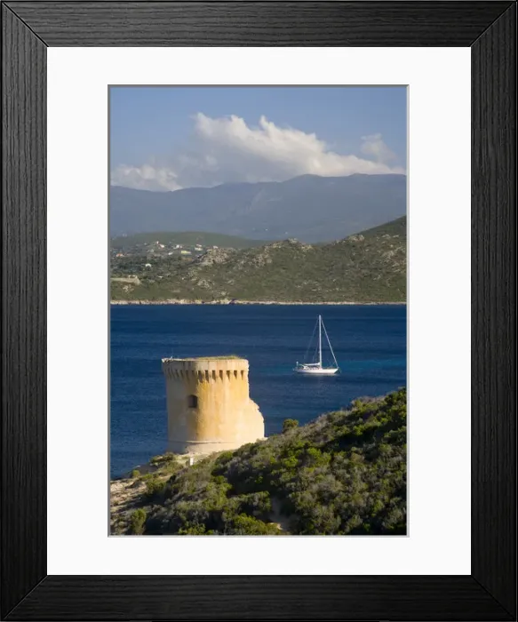 Framed Print : Corsica. France. Europe. Remains of Genoese tower on Point Mortella (Punta Mortella) Framed Print : Corsica. France. Europe. Remains of Genoese tower on Point Mortella (Punta Mortella)