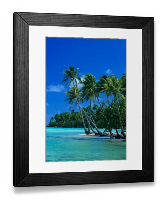 Framed Print : Palm trees surround turquoise waters in the tropical lagoon of Tahaa in the Society Framed Print : Palm trees surround turquoise waters in the tropical lagoon of Tahaa in the Society
