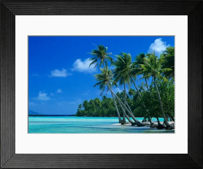 Framed Print : Palm trees surround turquoise waters in the tropical lagoon of Tahaa in the Society Framed Print : Palm trees surround turquoise waters in the tropical lagoon of Tahaa in the Society