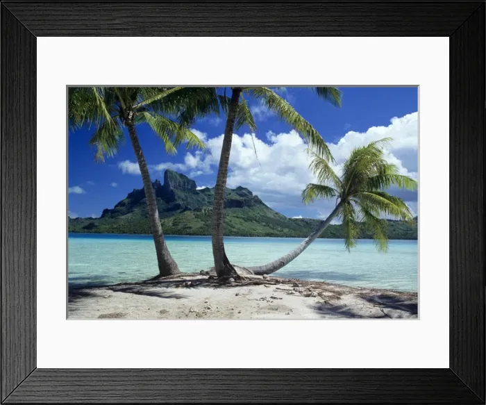 Framed Print : Palm trees on motu on the island of Bora Bora, Society Islands, French Polynesia Framed Print : Palm trees on motu on the island of Bora Bora, Society Islands, French Polynesia
