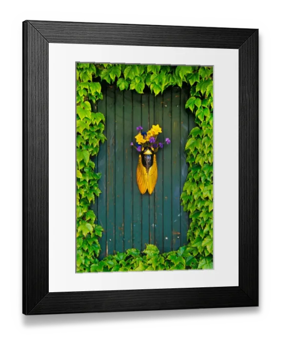 Framed Print : A flower vase surrounded by vines, Provence, France