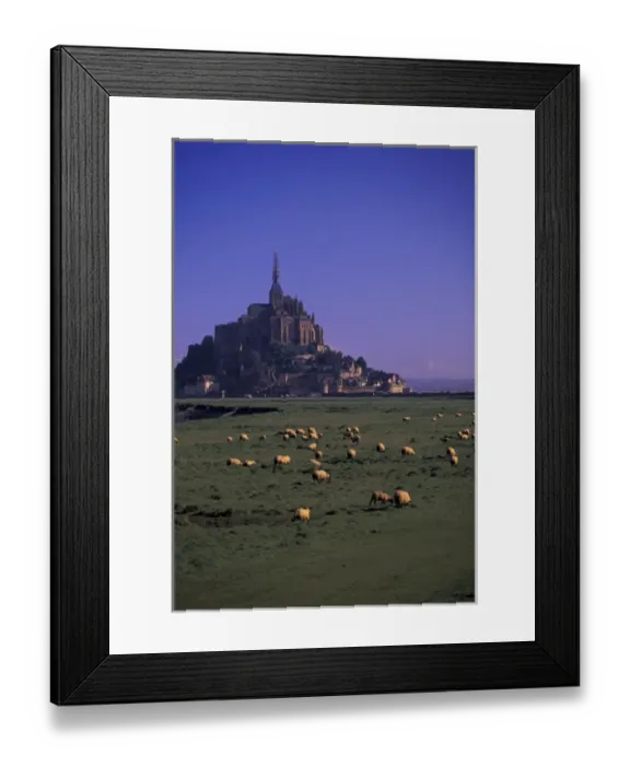 Framed Print : FRANCE, Normandy Mont St. Michel Morning with flock of sheep