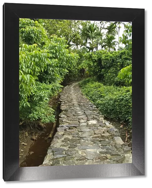 Yap. Old stone pathway