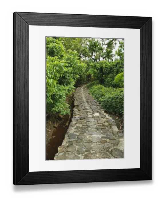 Framed Print : Yap. Old stone pathway Framed Print : Yap. Old stone pathway