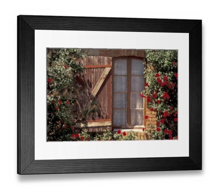 Framed Print : Europe, France, Provence, Vaucluse, Apt House with summer roses