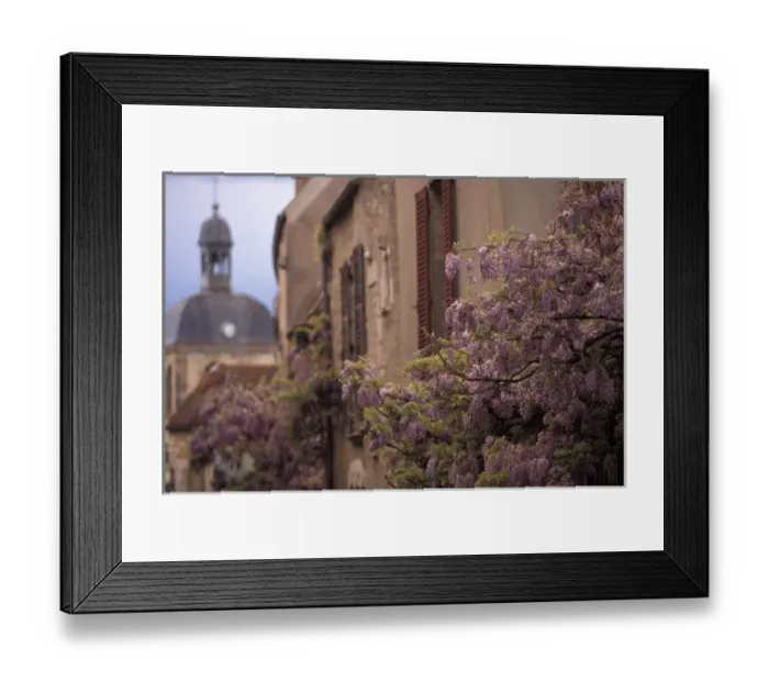 Framed Print : EU, France, Burgundy, Yonne, Vezelay. Spring flowers Framed Print : EU, France, Burgundy, Yonne, Vezelay. Spring flowers