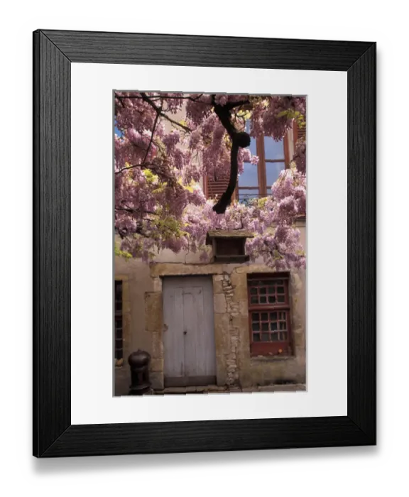 Framed Print : EU, France, Burgundy, Yonne, Vezelay. Spring flowers Framed Print : EU, France, Burgundy, Yonne, Vezelay. Spring flowers