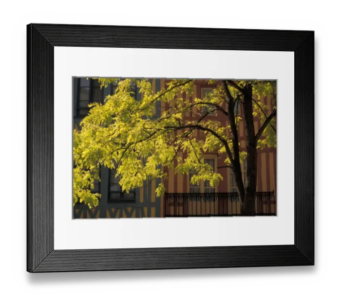 Framed Print : EU, France, Normandy, Seine, Rouen, Maritime. Spring Tree and Buildings, Old Rouen Framed Print : EU, France, Normandy, Seine, Rouen, Maritime. Spring Tree and Buildings, Old Rouen