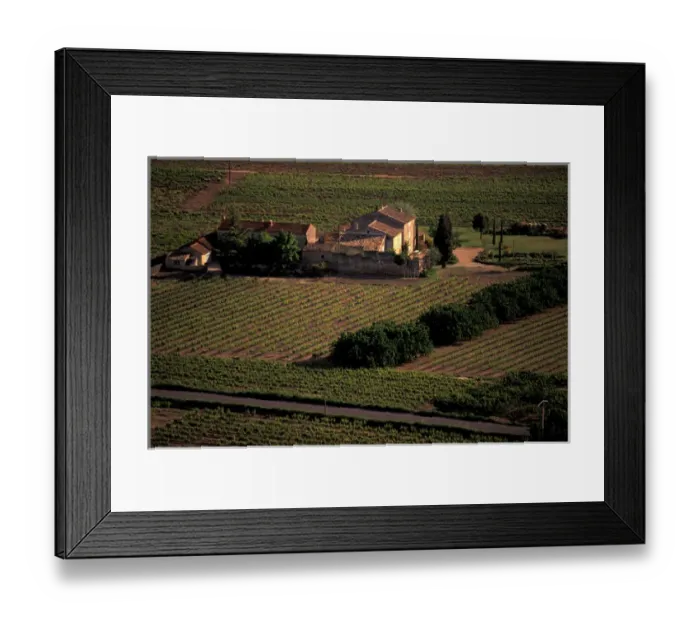 Framed Print : EU, France, Provence, Vaucluse, Beaumettes, Overview of vineyard in spring