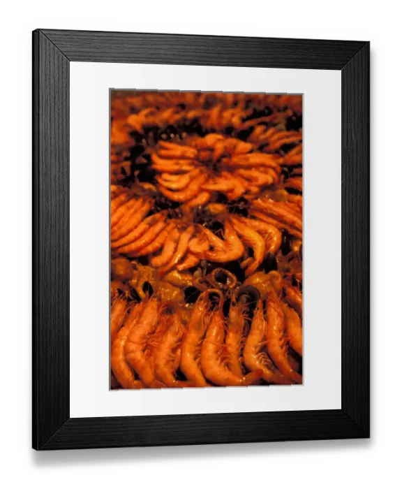 Framed Print : EU, France, Provence, Bouches-du-Rhone, Aix-en-Provence, Shrimp in Paelia, market