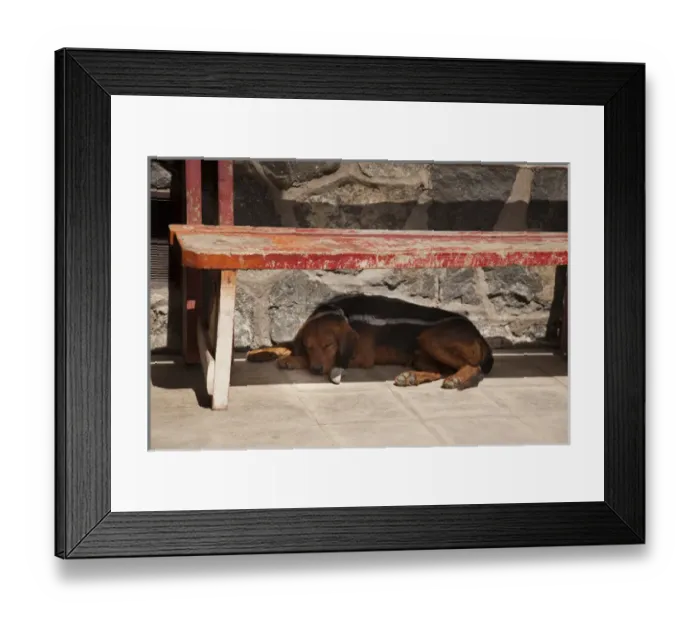 Framed Print : South America, Chile, Zapallar. Dog naps under a red wooden bench. Credit as: Wendy
