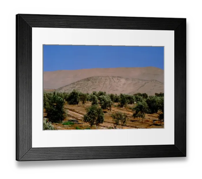 Framed Print : South America, Chile, Arica. Atacama Desert, one of the driest places on earth. Geoglyphs Framed Print : South America, Chile, Arica. Atacama Desert, one of the driest places on earth. Geoglyphs