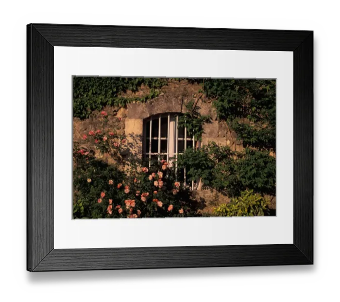 Framed Print : EU, France, Provence, Vaucluse, Manerbes. Peter Mayle Country, window & flowers