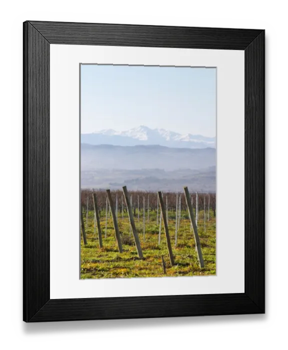 Framed Print : View over the snow capped Pyrenees mountains. Chateau Rives-Blanques. Limoux. Languedoc